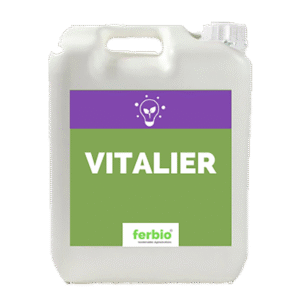 Vitalier