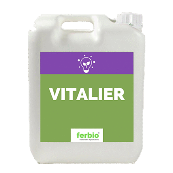 Vitalier