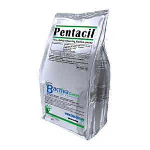Pentacil